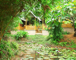 Vythiri Greens Resort, kerala
