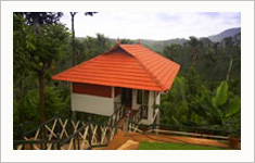 Glenora Homestay Wayanad, Kerala, India