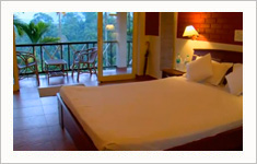 Glenora Homestay Wayanad, Kerala, India