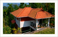 Glenora Homestay Wayanad, Kerala, India