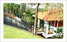 Glenora Homestay Wayanad, Kerala, India