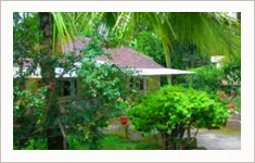 Green Mount Cottage Wayanad, Kerala, India