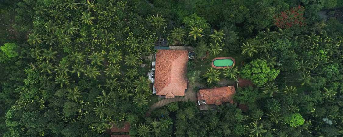 Orchid Resort, Wayanad