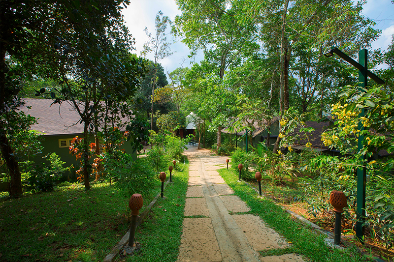 walkway at  at Adithya Nature Resort