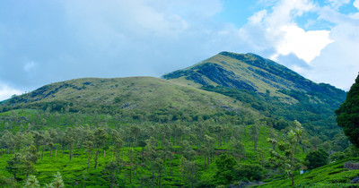 chembra peak wayanad tourist spot