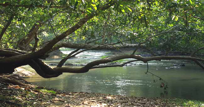 kuruva island atraction wayanad