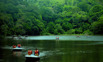 wayanad tourist pookot lake