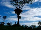 Aranyakam Home Stay pic 3