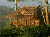 Aranyakam Home Stay pic - 4