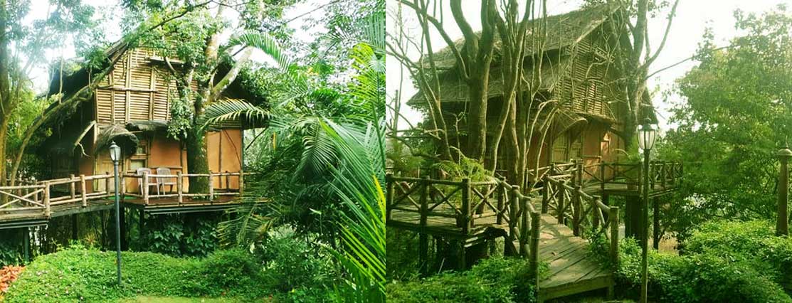 Bamboo Tree House at Green Gates Hotel- 