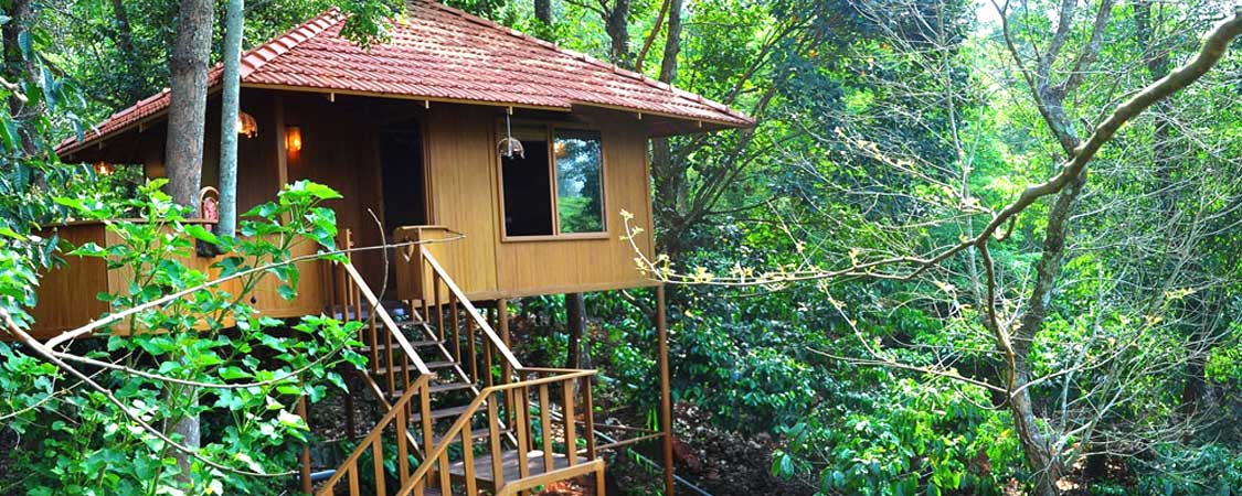 Coffee Acres Resort, Wayanad