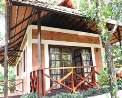 Coffee Acres Resort, Wayanad