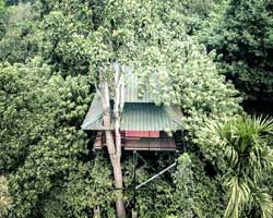 Coffee Acres Resort, Wayanad