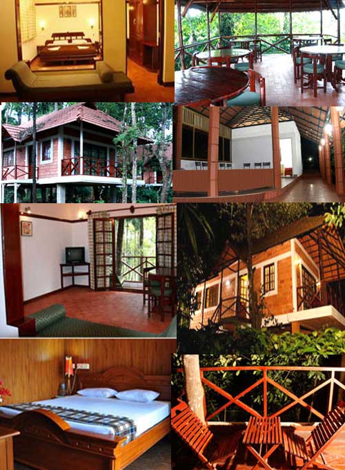 Coffee Acres Resort, Wayanad