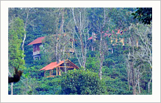 The The Coffee County Resorts Wayanad, Kerala, India