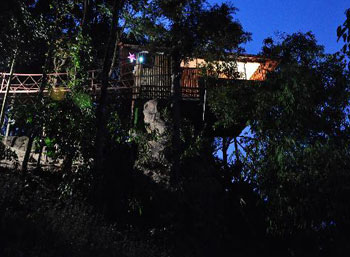 Cybele Tree House