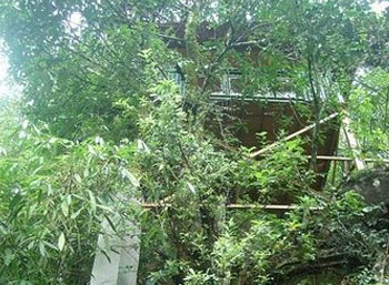 Cybele Tree House