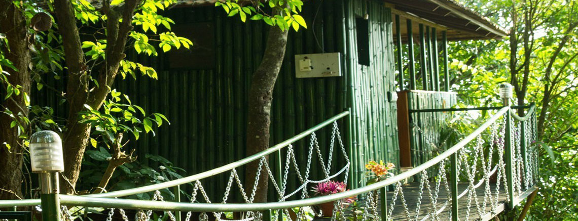 Cybele Tree House 