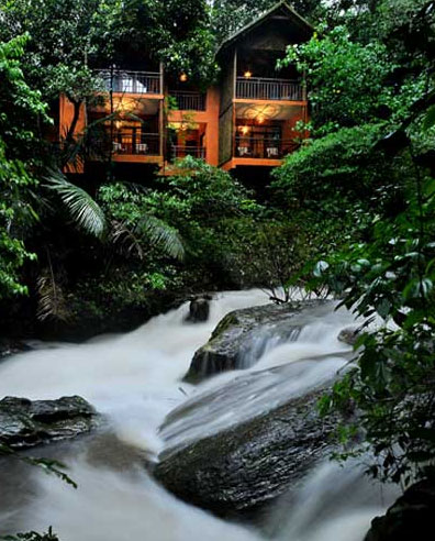 wayanad tourist hotels