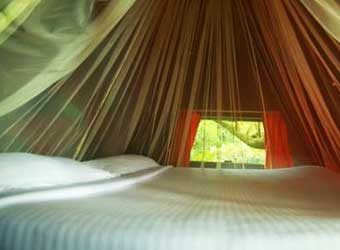 Green Magic Tree house Resorts bed