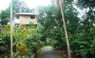 Hiliya Tree house Resort