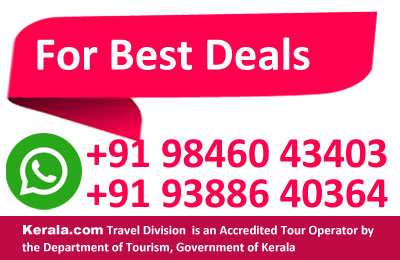 Best-deals