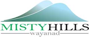 Misty Hills Resort 