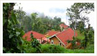 mygardenofeden-wayanad-Kerala-India