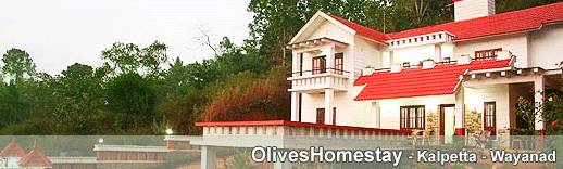Olives Homestay-Kalpetta-Wayanad-Kerala-India