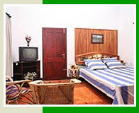 Olives Homestay-Kalpetta-Wayanad-Kerala-India