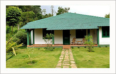 ORCHARD HOLIDAY RESORT,Lakkidi, Wayanad, Kerala, India
