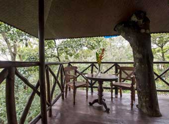 Pepper Trail Tree house balcony