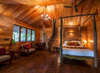 Pepper Trail Tree house bed room
