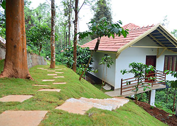 Peter's Coffee CreekResorts