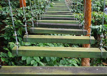 Peter's Coffee CreekResorts