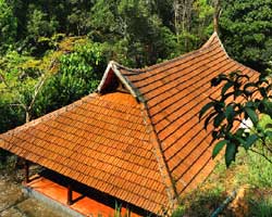 Rain Country Resort, Wayanad