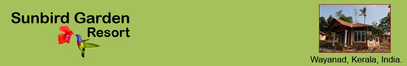 Sun Bird Resort - title