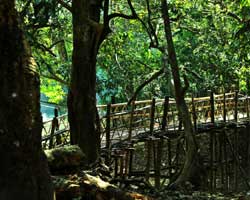 The Serenity Resort
