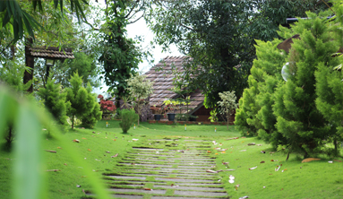 Vattakkuny Wild Orchid Cottages
