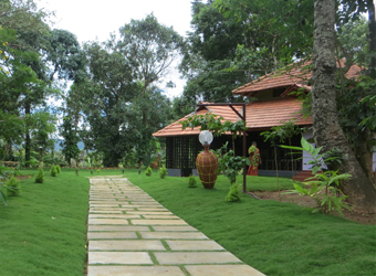 Vattakkuny Wild Orchid Cottages