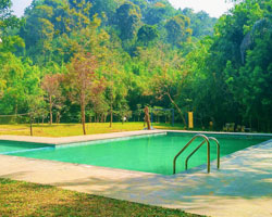 Vythiri Greens Resort, kerala