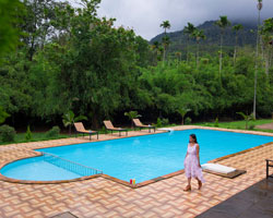 Vythiri Holiday Resort