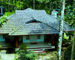 Wayanad Ranches Resort