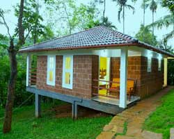 Wayanad Ranches Resort