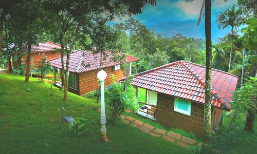 Wayanad Ranches Resort